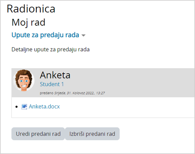 Predaja rada u aktivnosti Radionica